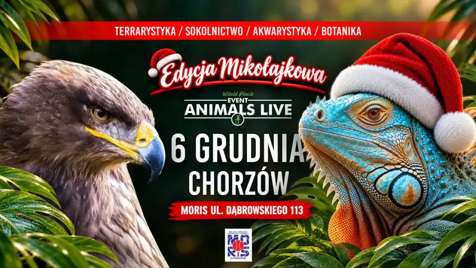 Animals Live CHORZÓW 6 Grudnia 2026 - Terrarystyka & Sokolnicy & Akwarystyka & Botanika