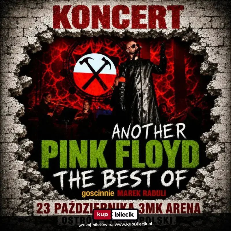 Another Pink Floyd Tribute Band – Another Pink Floyd i Marek Raduli