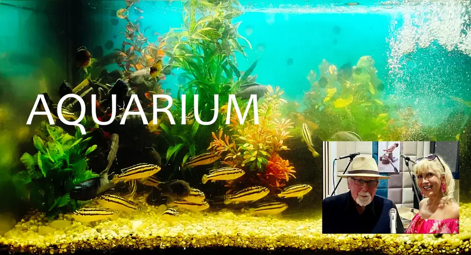 AQUARIUM – koncert polskich i światowych evergreenów