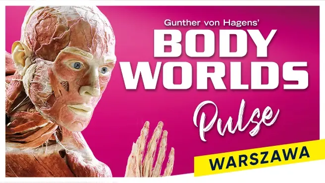 BODY WORLDS PULSE - Warszawa