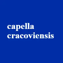 Capella Cracoviensis / Dido & Aeneas III / art for all