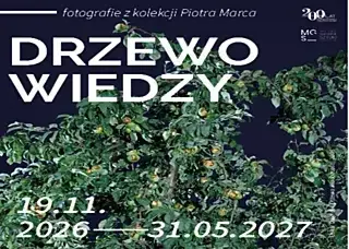 Drzewo wiedzy. Fotografie z kolekcji Piotra Marca