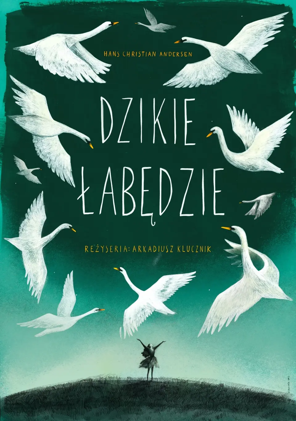 DZIKIE ŁABĘDZIE