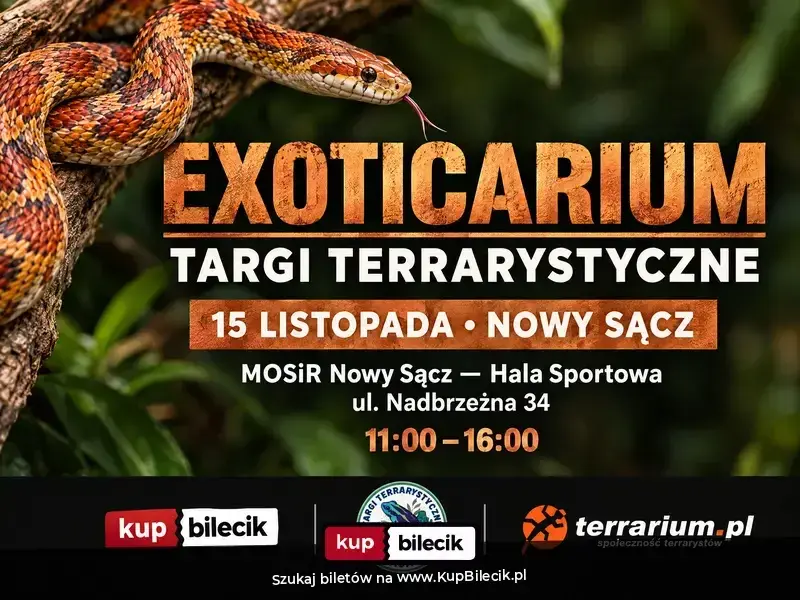 Exoticarium - Targi Terrarystyczne + Wystawa Pająków