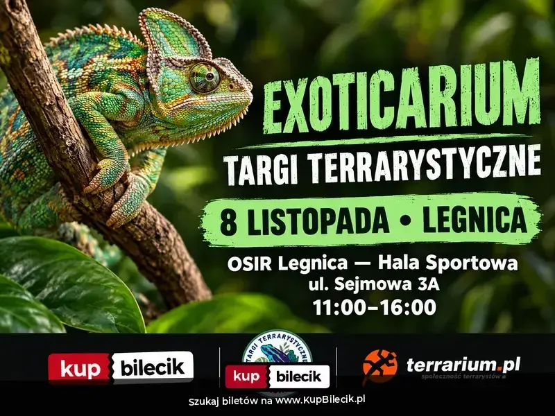 Exoticarium - Targi Terrarystyczne + Wystawa Pająków