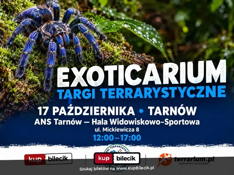 Exoticarium - Targi Terrarystyczne + Wystawa Pająków