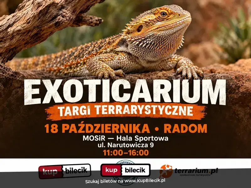 Exoticarium - Targi Terrarystyczne + Wystawa Pająków