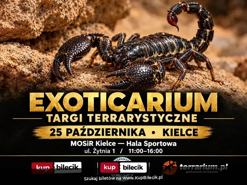 Exoticarium - Targi Terrarystyczne + Wystawa Pająków