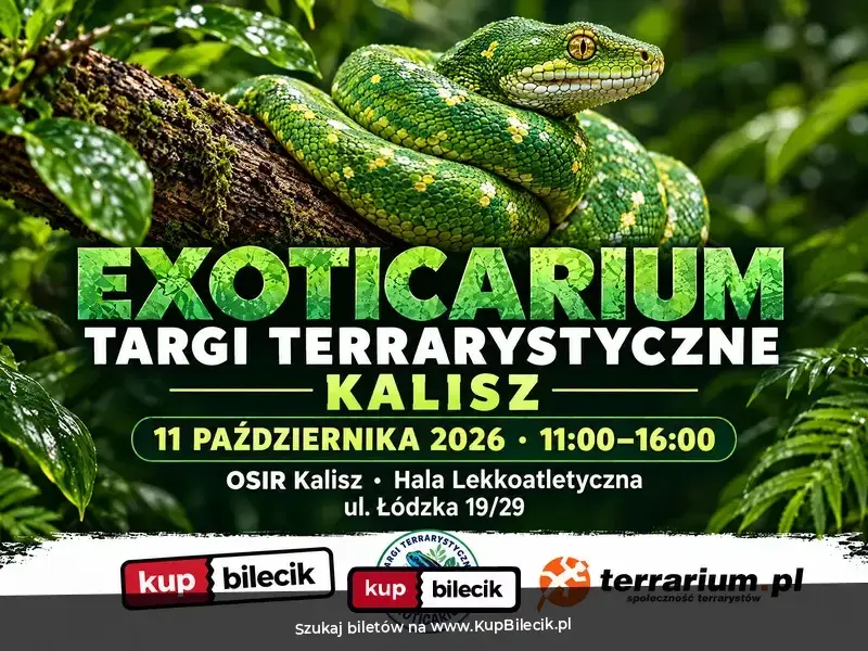 Exoticarium - Targi Terrarystyczne + Wystawa Pająków