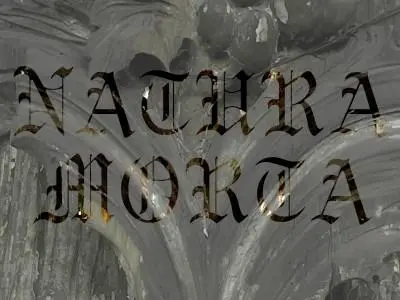 Gabriel Konieczny, Natura Morta