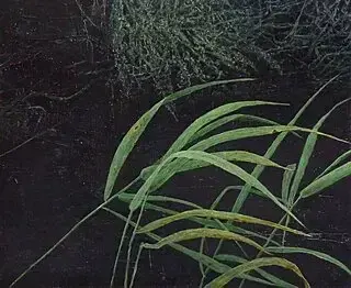 Ireneusz Kojło, Jolanta Wołocznik, Ciało pamięta drogę do natury