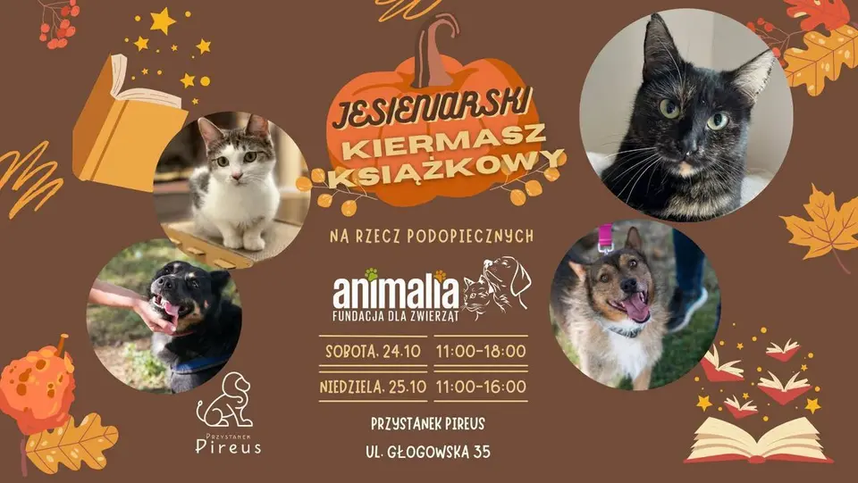 Jesieniarski kiermasz książek Fundacji Animalia