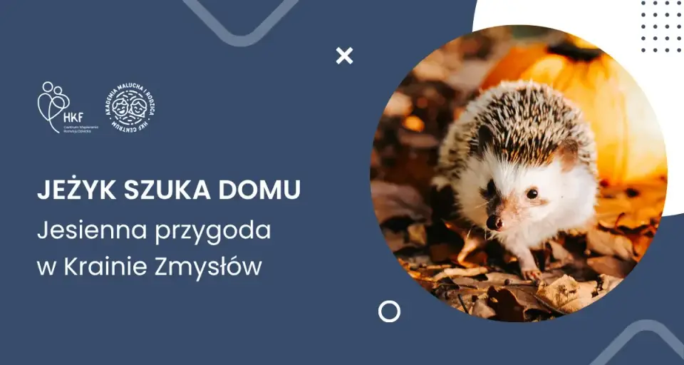 Jeżyk szuka domu – jesienna przygoda w Krainie Zmysłów [zajęcia dla dzieci]