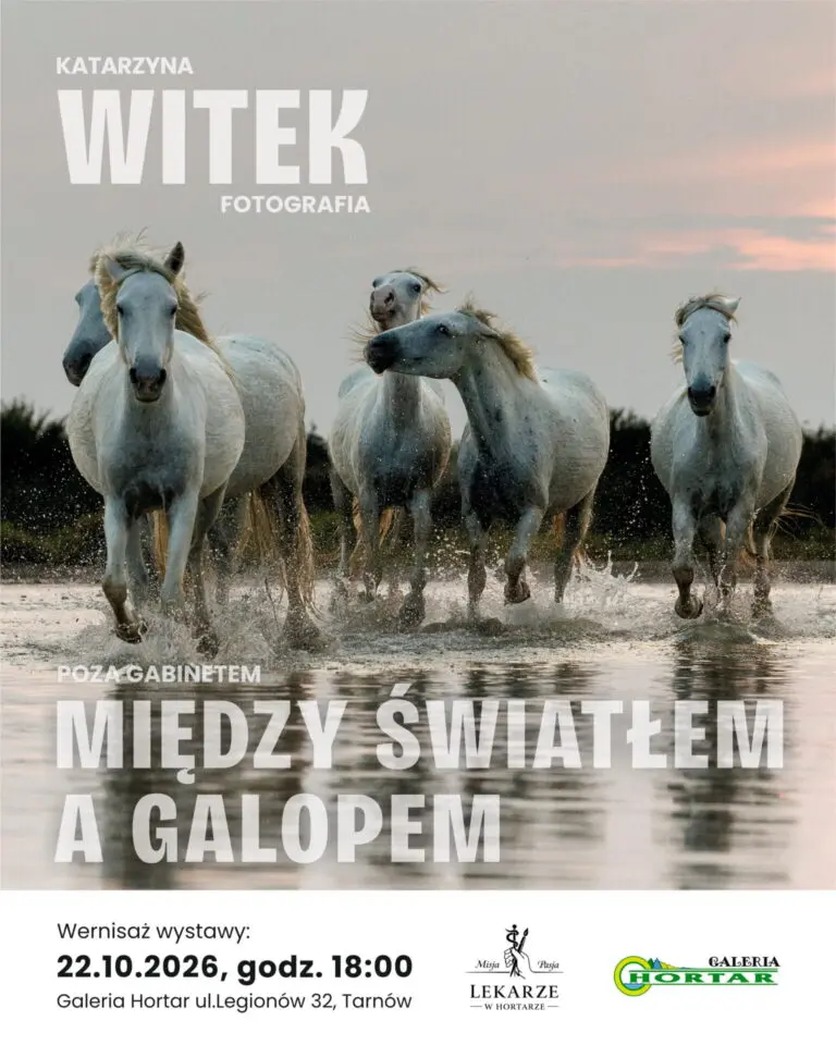 Katarzyna Witek „Poza gabinetem – między światłem a galopem”