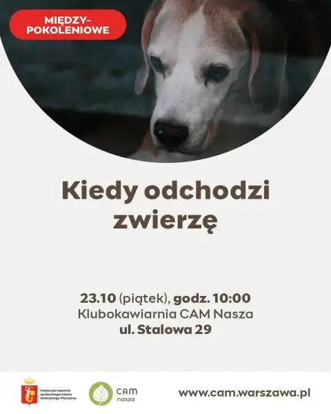 Kiedy odchodzi zwierzę - żałoba po stracie zwierzaka - spotkanie