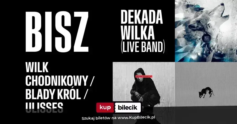 Koncert Bisz (B.O.K)