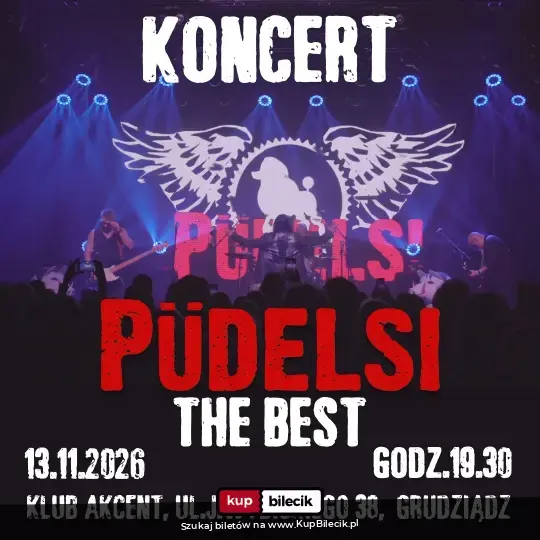 Koncert Zespołu Püdelsi.