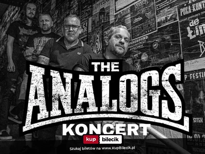 Koncert zespołu The Analogs, support The United Tears