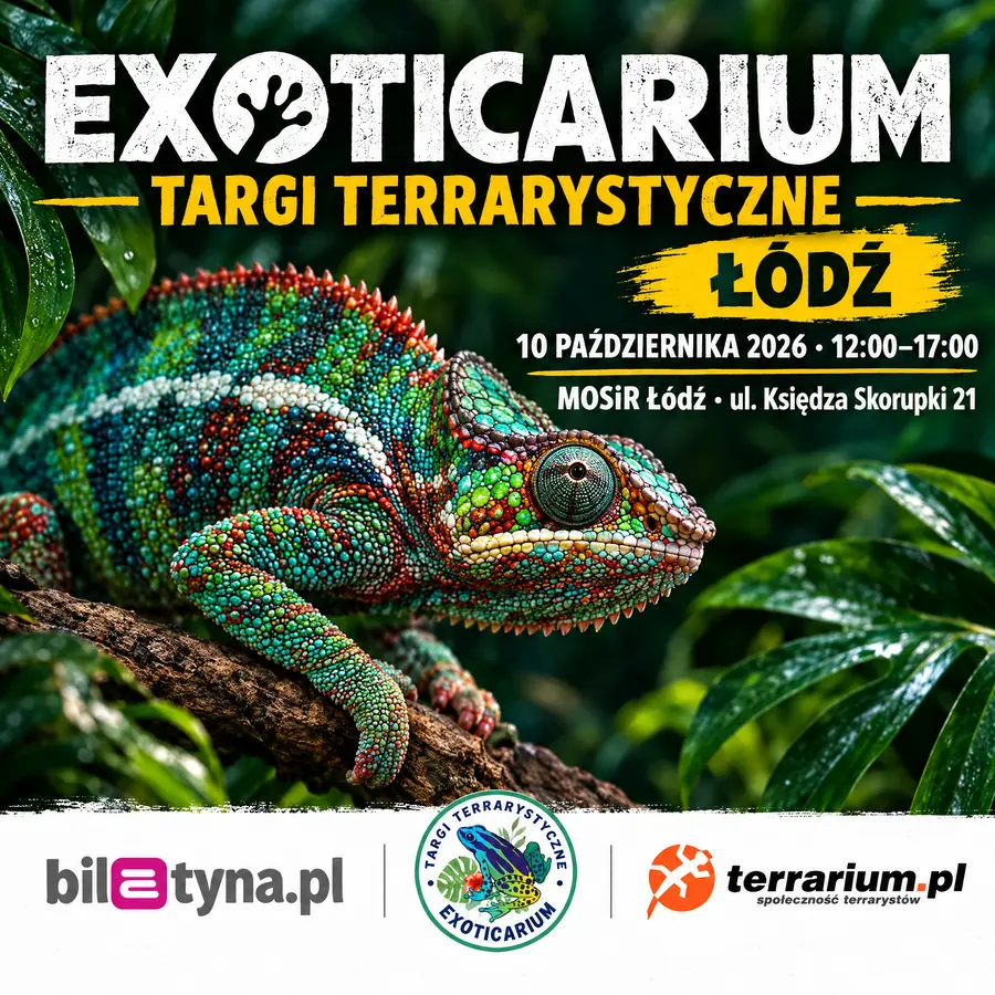 Łódź - Targi Terrarystyczne Exoticarium + Wystawa Pająków
