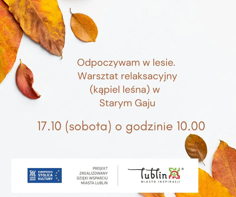 Odpoczywam w lesie. Warsztat relaksacyjny (kąpiel leśna) w Starym Gaju