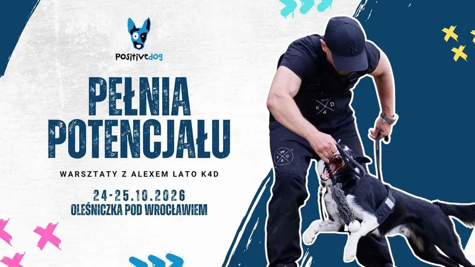 Pełnia potencjału - warsztaty z Alexem Lato K4D pod Wrocławiem