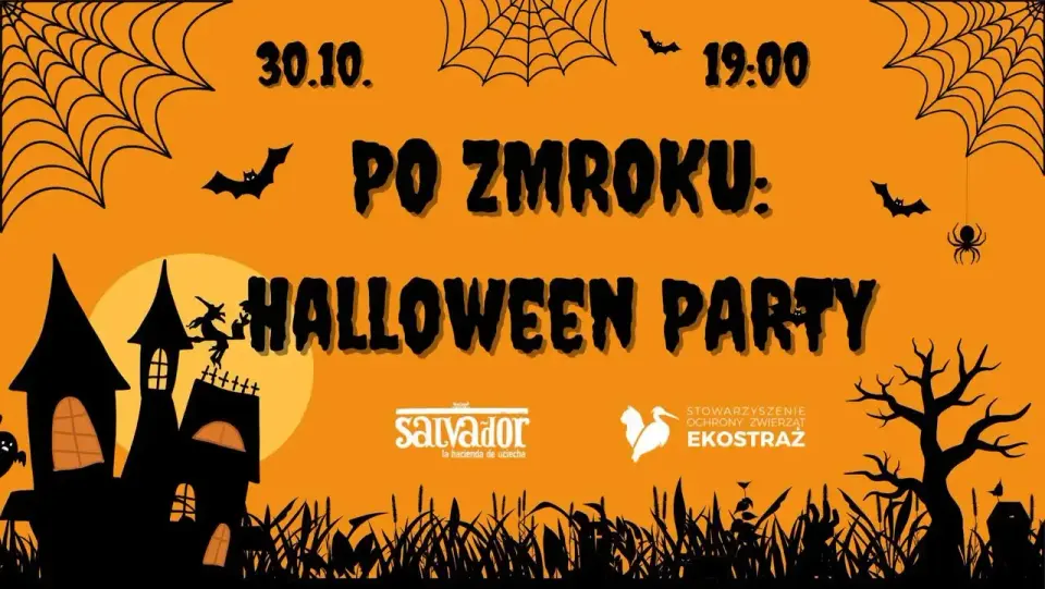 Po Zmroku: Charytatywne Halloween | Ekostraż