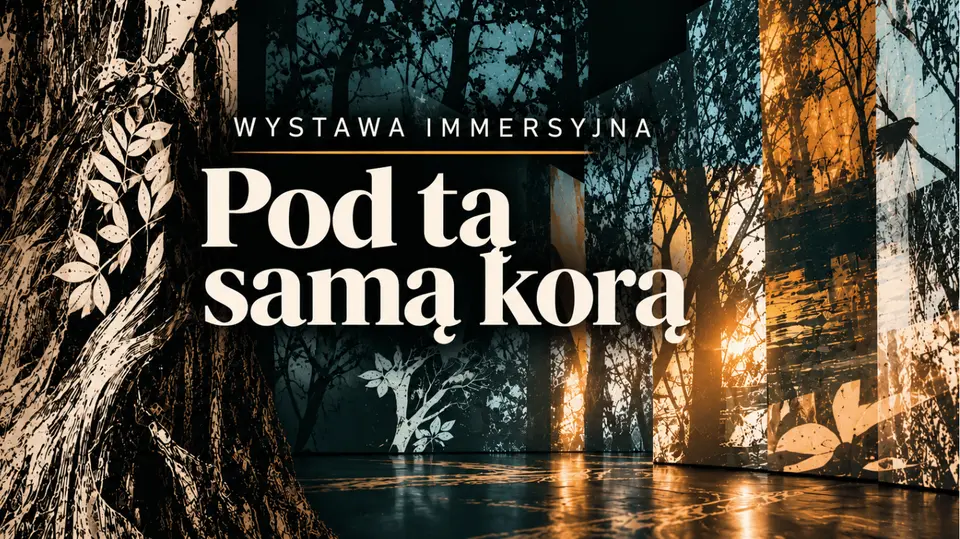 Pod tą samą korą | Interaktywna wystawa immersyjna