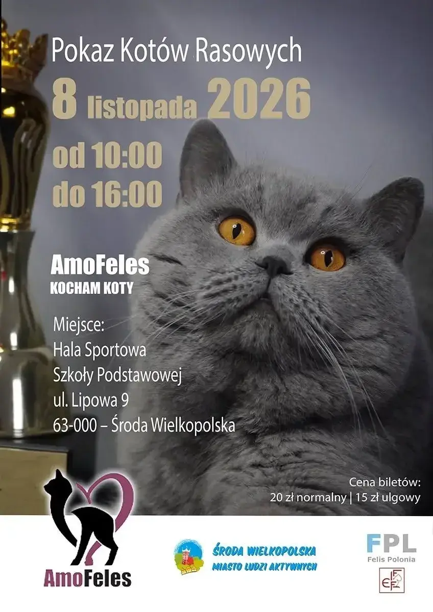 Pokaz Kotów Rasowych w Środzie Wielkopolskiej