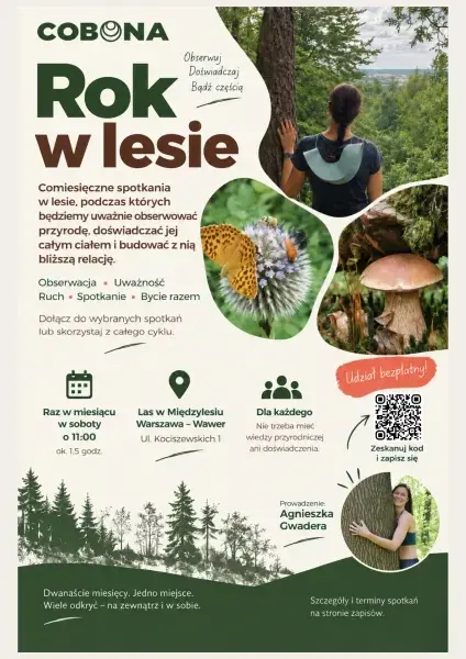 Rok w lesie | Bezpłatny cykl comiesięcznych spotkań z naturą