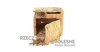 Roman Stańczak. Rzeczy bolesne