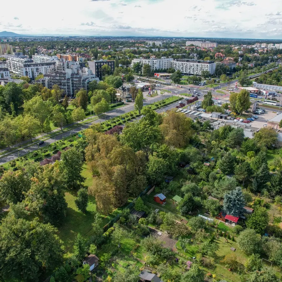Spotkajmy się w mieście. Spacer po Borku