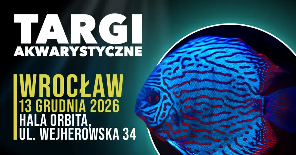 Targi Akwarystyczne