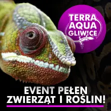 TERRA AQUA