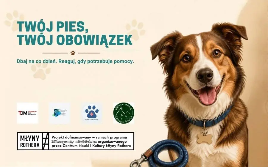 Twój pies, Twój obowiązek - otwarte wydarzenie edukacyjno-warsztatowe