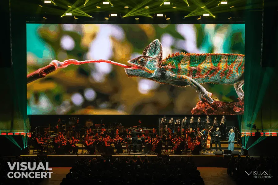 Visual Concert