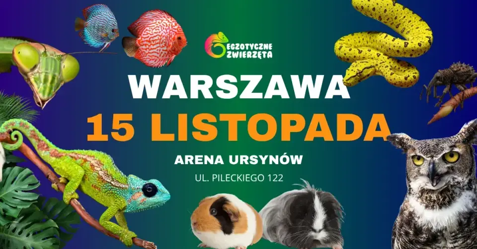 WARSZAWA 15 LISTOPADA - EGZOTYCZNE ZWIERZĘTA - TERRARYSTYKA AKWARYSTYKA I WIELE WIĘCEJ