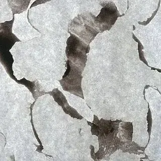 Wernisaż: Echoes of Ceramics