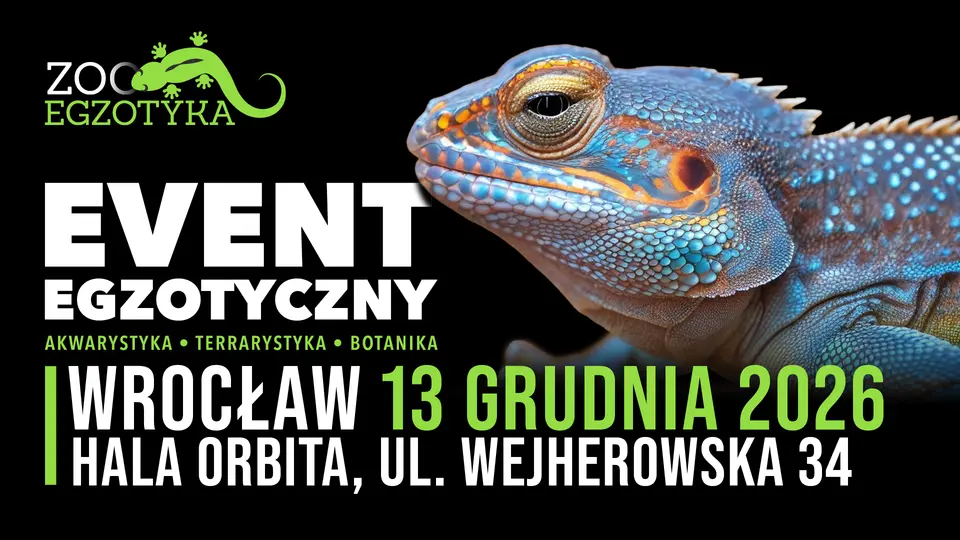 ZooEgzotyka Wrocław