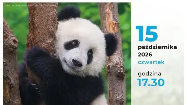 "Zwierzyniec" warsztaty dla dzieci | „Panda – niedźwiadek bambusowy”